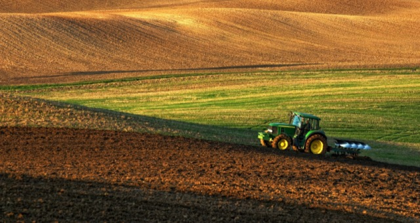 Küresel gıda fiyatları savaşla birlikte sert yükseldi